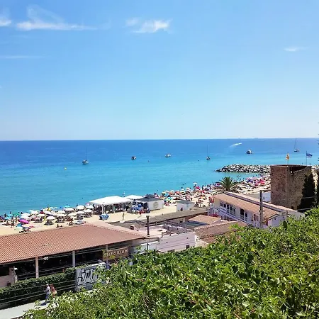 Апартаменты Helena Seaview & Beach-apartment Монгат